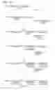 Fig. 10 - Defined multi-conjugate oligonucleotides