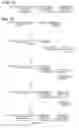 Fig. 11 - Defined multi-conjugate oligonucleotides