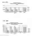 Fig. 16 - Defined multi-conjugate oligonucleotides