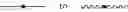 Fig. 183 - Defined multi-conjugate oligonucleotides