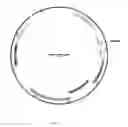 Fig. 02 - Modified Magnetotactic Bacteria Expressing a Metallophore Specific for Cobalt and/or Nickel