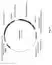 Fig. 08 - Engineered landing pads for gene targeting in plants