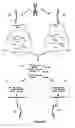 Fig. 07 - Methods and compositions for nucleic acid analysis