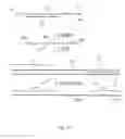 Fig. 16 - Apparatus, system, and method using immiscible-fluid-discrete-volumes