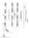 Fig. 28 - Apparatus, system, and method using immiscible-fluid-discrete-volumes