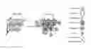 Fig. 01 - METHODS OF IDENTIFYING AND TREATING IMMUNE CHECKPOINT INHIBITOR-RESPONSIVE NEOPLASMS AND CELLS, TRANSGENIC ANIMALS AND KITS FOR USE THEREIN
