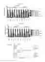Fig. 03 - METHODS OF IDENTIFYING AND TREATING IMMUNE CHECKPOINT INHIBITOR-RESPONSIVE NEOPLASMS AND CELLS, TRANSGENIC ANIMALS AND KITS FOR USE THEREIN