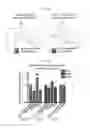 Fig. 12 - METHODS OF IDENTIFYING AND TREATING IMMUNE CHECKPOINT INHIBITOR-RESPONSIVE NEOPLASMS AND CELLS, TRANSGENIC ANIMALS AND KITS FOR USE THEREIN