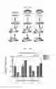 Fig. 20 - METHODS OF IDENTIFYING AND TREATING IMMUNE CHECKPOINT INHIBITOR-RESPONSIVE NEOPLASMS AND CELLS, TRANSGENIC ANIMALS AND KITS FOR USE THEREIN