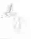 Fig. 07 - Laundry treatment apparatus