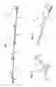 Fig. 02 - Laundry sock/garment snare