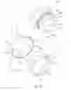 Fig. 13 - Pull-out faucet