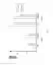 Fig. 05 - Building assembly including a weather resistant barrier, a sheet for use as a weather resistant barrier, a liquid coating composition and methods of making the foregoing