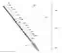 Fig. 01 - Fence post