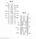 Fig. 13 - Fence post