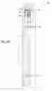 Fig. 07 - Downhole tool having an axially rotatable valve member