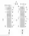 Fig. 08 - Sealless downhole system with magnetically supported rotor