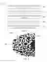 Fig. 03 - Pulsed hydraulic fracturing with geopolymer precursor fluids