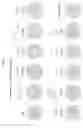 Fig. 07 - Composition for preparing biological material having excellent light transmissivity and use of composition