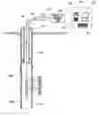 Fig. 01 - Determining pipe properties in corrosion inspection