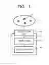 Fig. 02 - Molecular detection apparatus and molecular detection method