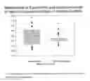 Fig. 05 - IN VITRO METHOD FOR THE DETERMINATION OF NEURODEGENERATIVE DISEASES
