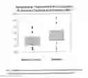 Fig. 06 - IN VITRO METHOD FOR THE DETERMINATION OF NEURODEGENERATIVE DISEASES