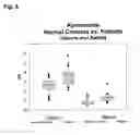 Fig. 09 - IN VITRO METHOD FOR THE DETERMINATION OF NEURODEGENERATIVE DISEASES