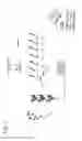 Fig. 02 - CHO host cell protein assay