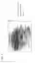 Fig. 06 - CHO host cell protein assay
