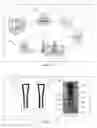 Fig. 02 - ANALYSIS MEMBRANES FOR MICROFLUIDIC DEVICES, SAID MEMBRANES BEING MADE OF A FIBERGLASS MATERIAL