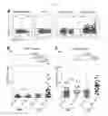 Fig. 02 - METHODS OF DIAGNOSING AND TREATING LUPUS