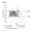 Fig. 45 - Liquid crystal display device having shaped openings