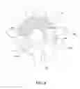 Fig. 19 - Printer