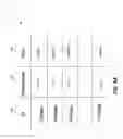 Fig. 07 - AUTOMATIC INGESTION OF DATA