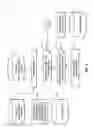 Fig. 06 - Identifying domain-specific accounts