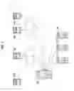 Fig. 02 - IMAGE PROCESSING APPARATUS AND NON-TRANSITORY COMPUTER READABLE MEDIUM STORING PROGRAM