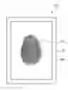 Fig. 01 - Biometric information detecting device and display apparatus having the same