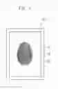 Fig. 02 - Biometric information detecting device and display apparatus having the same