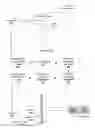 Fig. 01 - Binding of selfie face image to iris images for biometric identity enrollment