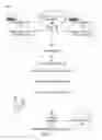 Fig. 02 - Real-time tracking-compensated image effects