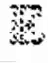 Fig. 08 - Automatically classifying animal behavior