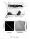 Fig. 22 - Automatically classifying animal behavior