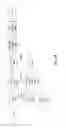 Fig. 19 - Apparatus and method for asynchronous texel shading