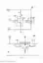 Fig. 06 - Bi-directional snapback ESD protection circuit