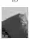 Fig. 08 - Thin film transistor substrate