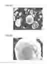 Fig. 06 - COMPOSITE ACTIVE MATERIAL FOR LITHIUM SECONDARY BATTERIES AND METHOD FOR PRODUCING SAME
