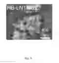 Fig. 09 - CATION-DISORDERED OXIDES FOR RECHARGEABLE LITHIUM BATTERIES AND OTHER APPLICATIONS