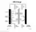 Fig. 01 - Method and system to maintain electrolyte stability for all-iron redox flow batteries