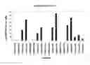 Fig. 01 - HUMAN PLACENTAL COLLAGEN COMPOSITIONS AND METHODS OF MAKING AND USING THE SAME